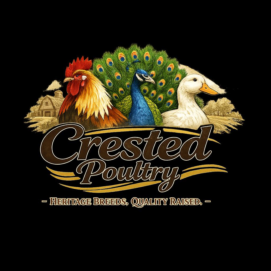 Crested Poultry