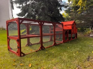 Chicken Coop For 4 Chickens