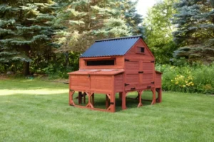 Chicken Coop For 15 Chickens
