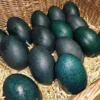 Emu Eggs,where to buy Emu Eggs,how to preserve Emu Eggs,Emu Eggs nearby,crested poultry