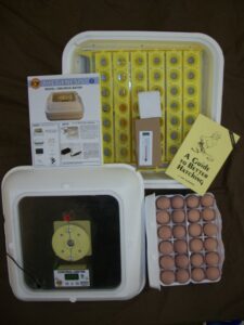 poultry supplies for sale online